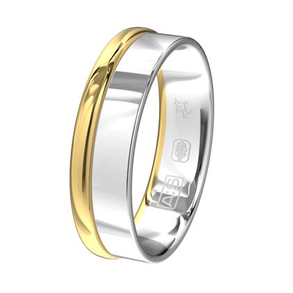 Een strakke, glanzende Argentium ring met daarnaast een subtiele bolle geelgouden rand.