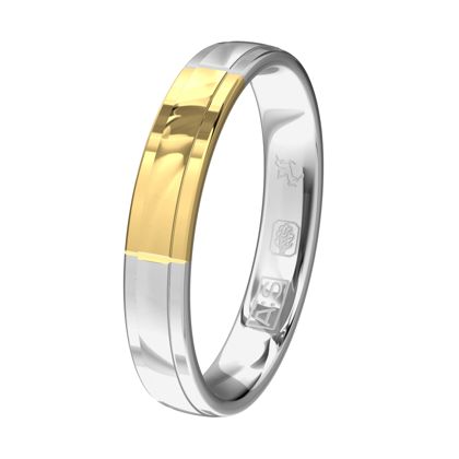 Het glanzende Argentium heeft twee verlaagde banen want zorgt voor een bijzondere uitstraling. Voor het stukje geelgoud geldt hetzelfde.